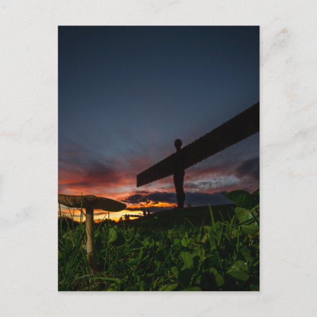 Angel Of The North Postcard (Front)