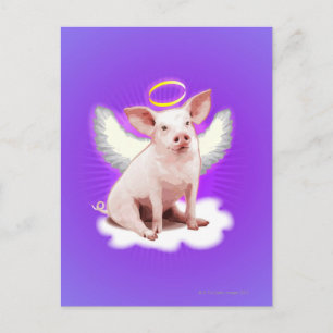 Angel Pig Postcard