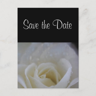 Angel rose save the date wedding announcement postcard