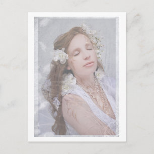 Angel "Serenity"  Postcard