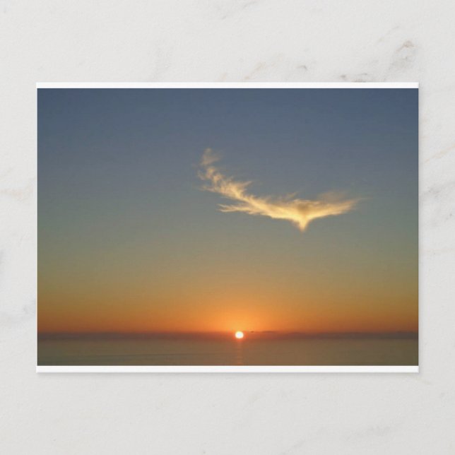 angel sunset postcard (Front)