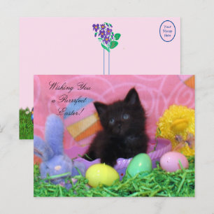 Angel the Kitten's Easter Wishes Postcard