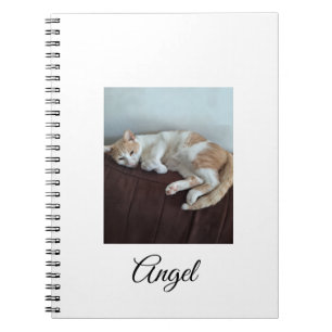 Angel the Sassy Cat Notebook