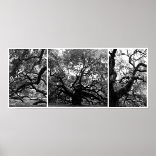 Angel Tree Collage Poster