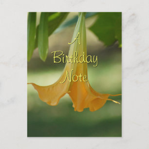 Angel Trumpet Postcard- customise any occasion Postcard