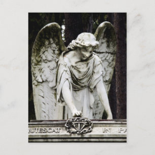 Angel Visit Postcard