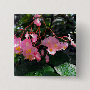 Angel Wing Begonias 15 Cm Square Badge