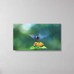 Angel Wings Canvas Print