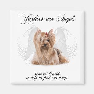 Angel Yorkie Magnet