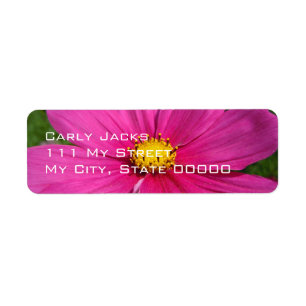 Angeled Pink Cosmo