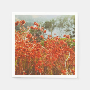 Angeles National Forest  Napkin