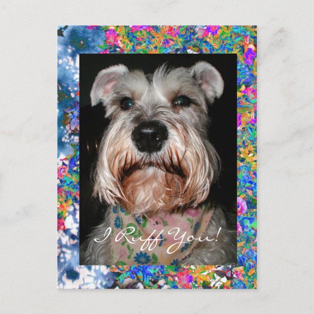 Angelface, I Ruff You! Postcard (Front)