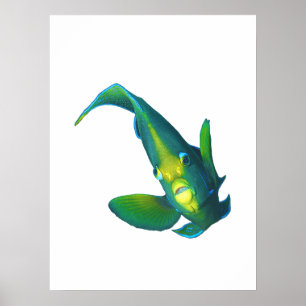 Angelfish - Abstract Design - Cut out of a photo   Poster