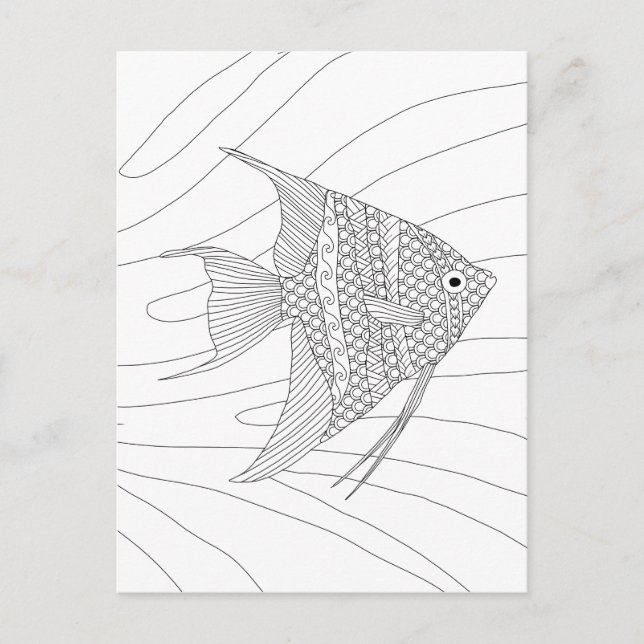 Angelfish Adult Colouring Postcard (Front)