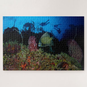 Angelfish and Divers From Below 20"x30" Jigsaw Puzzle