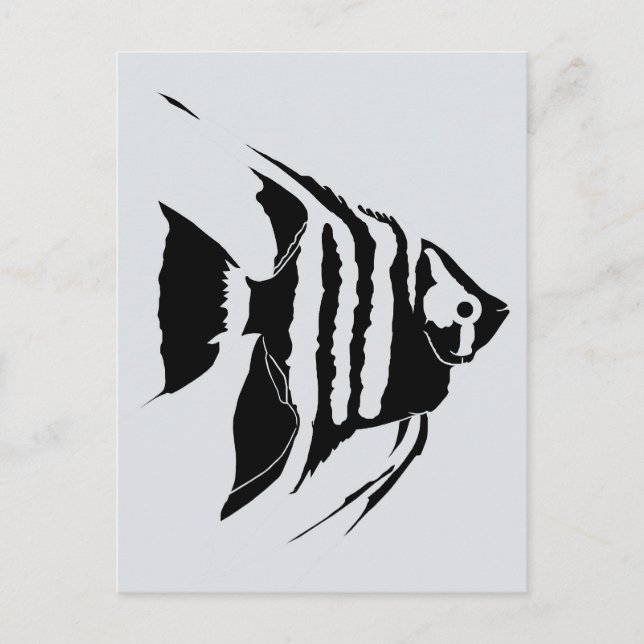 Angelfish. Black and white. Monochrome Postcard (Front)