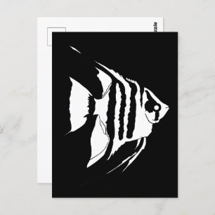 Angelfish. Black and white. Monochrome Postcard