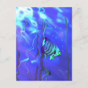 Angelfish Blues Postcard