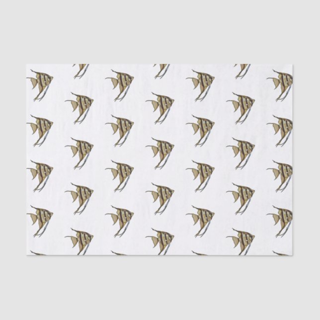 Angelfish cartoon illustration tissue paper (Front)