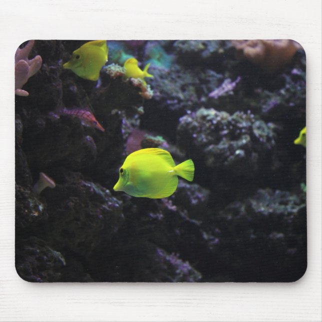 angelfish, fish, sea mouse mat (Front)