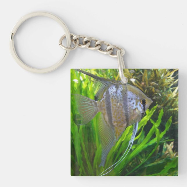 Angelfish Key Ring (Front)
