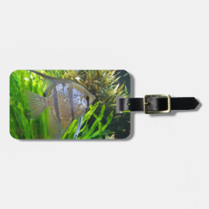 Angelfish Luggage Tag