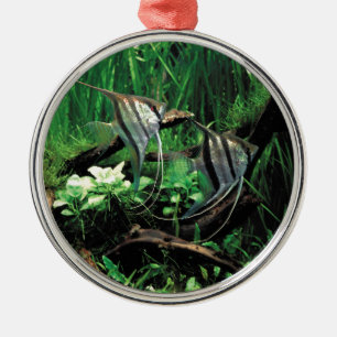 ANGELFISH METAL TREE DECORATION
