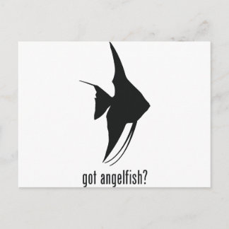 Angelfish Postcard