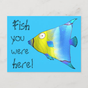 Angelfish Postcard