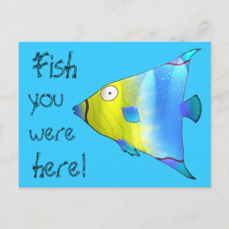 Angelfish Postcard