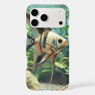 Angelfish swimming in freshwater aquarium