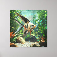 Angelfish swimming in freshwater aquarium