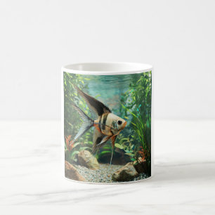 Angelfish swimming in freshwater aquarium coffee mug
