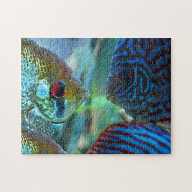 Angelfish vs Discus Fish Aquarium Keeper Jigsaw Puzzle (Horizontal)