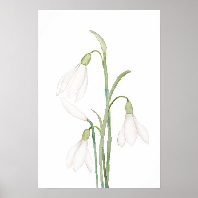 angelic snowdrop flowers watercolor poster (Front)
