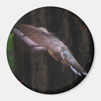 Angelic Wings Magnet