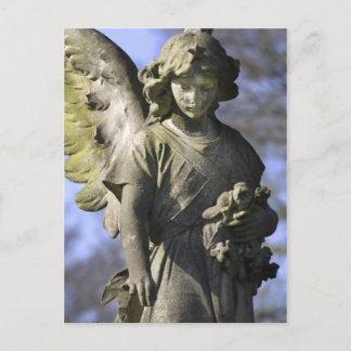 Angel's Blessing Postcard
