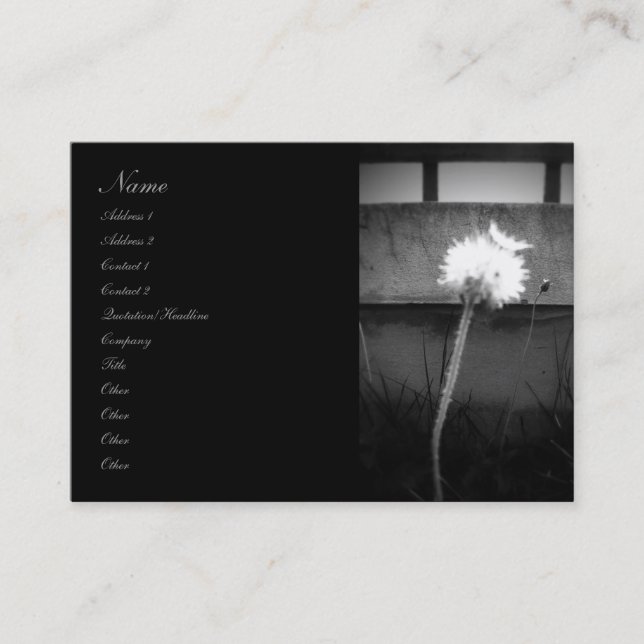 Angel's Kiss Business Card (Front)