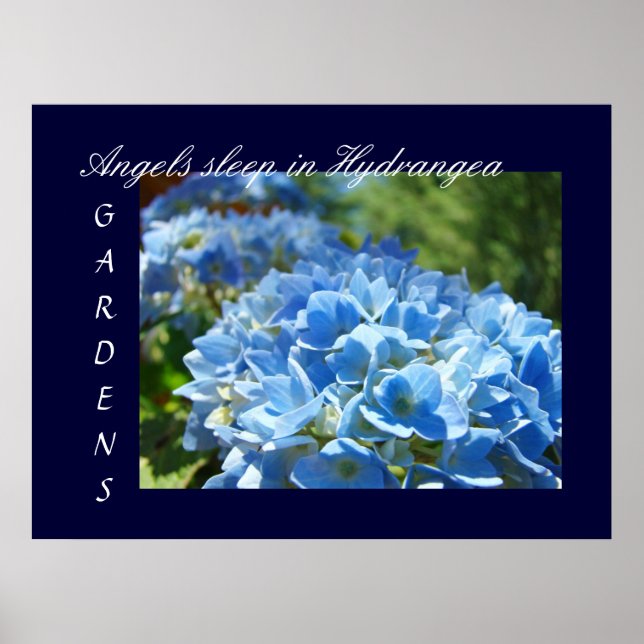 Angels Sleep in Hydrangeas Gardens art prints Blue (Front)
