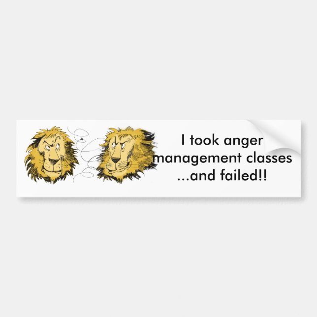 Anger management bumper sticker (Front)