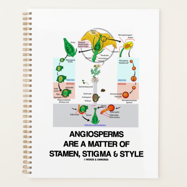 Angiosperms Are A Matter Of Stamen Stigma & Style Planner (Front)