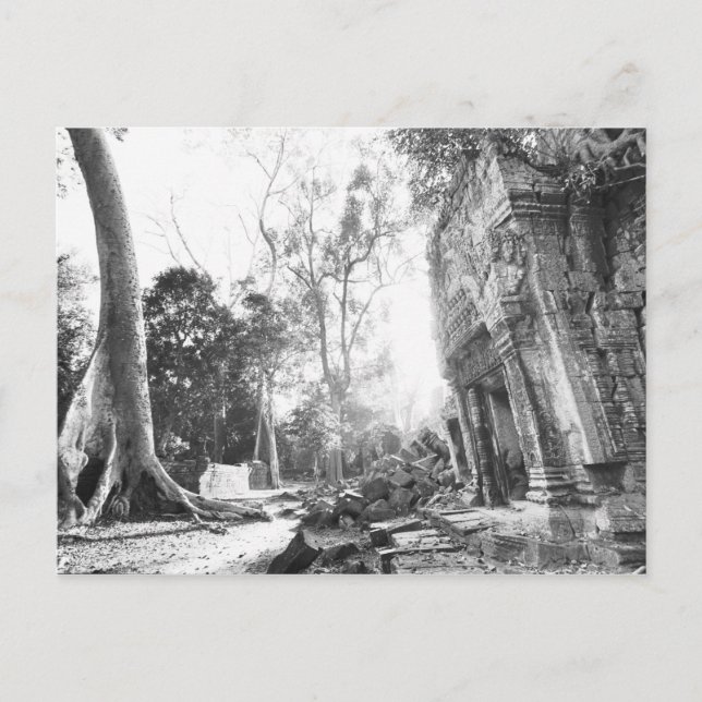 Angkor Cambodia, Details Ta Prohm Postcard (Front)