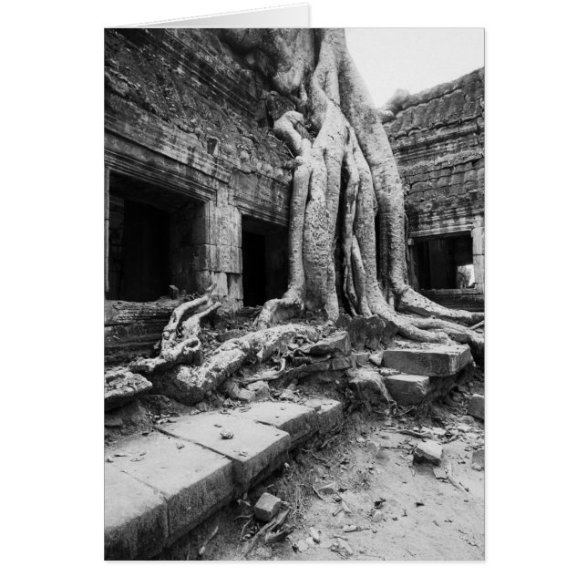 Angkor Cambodia, Ta Prohm Tree (Front)