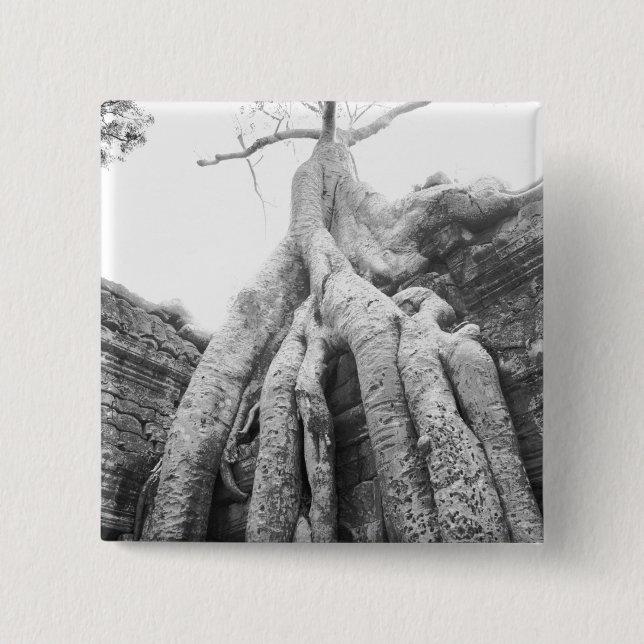 Angkor Cambodia, Tree Ta Prohm 15 Cm Square Badge (Front)