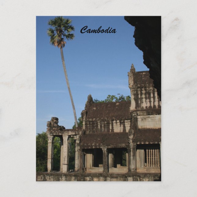 angkor tree postcard (Front)