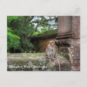 Angkor Wat Cambodia Postcard