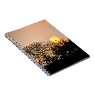 Angkor Wat Sunrise Spiral Notebook