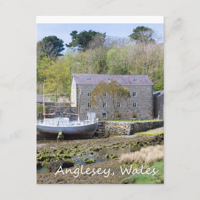 Anglesey, Wales Postcard (Front)