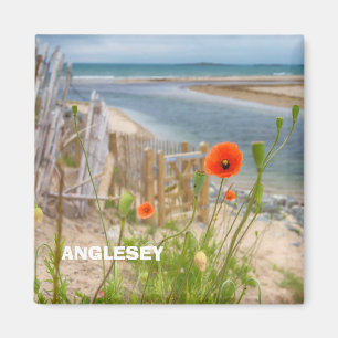 Anglesey Wales Scenic View Beach And Wild Poppies Magnet