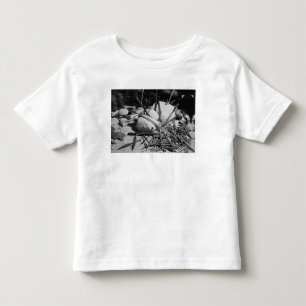 Anglo-Saxon weapons found alongside the Nydam Toddler T-Shirt
